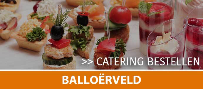 catering-cateraar-balloerveld